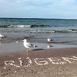 Fabiola In Strandnaehe