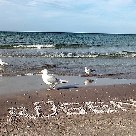 Fabiola In Strandnaehe