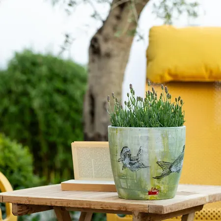 Fabiola In Strandnaehe Daire